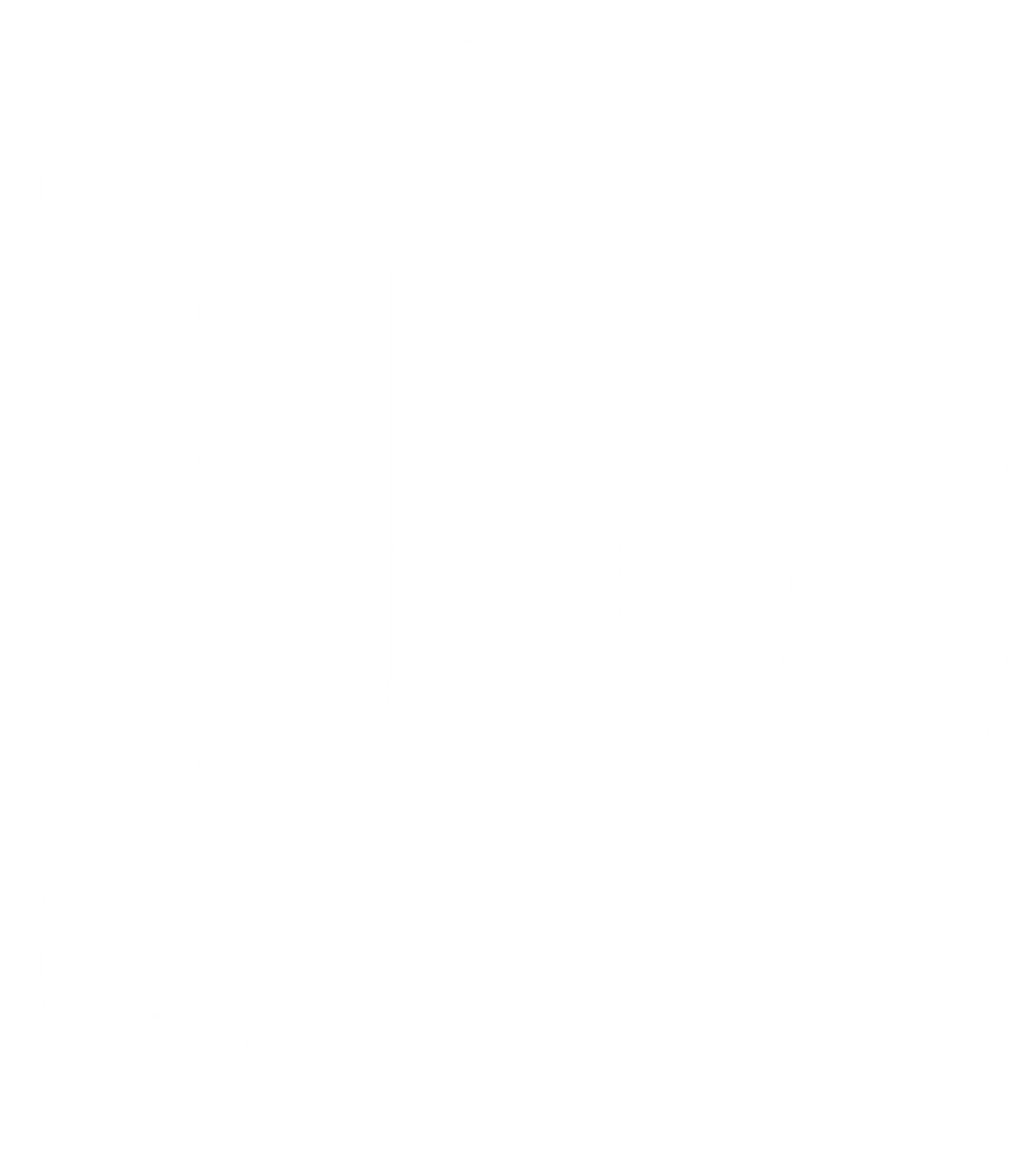 Logo DUZZLE LABS